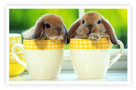 In The Mouth Of Madness 02