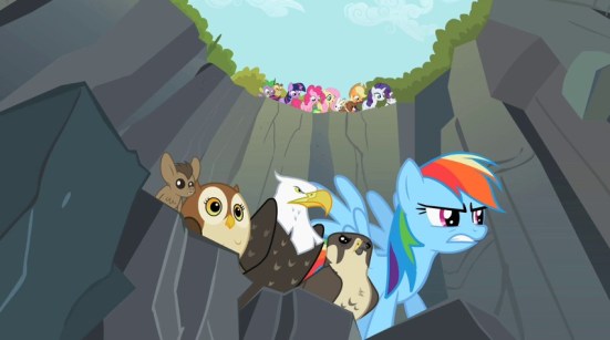 May The Best Pet Win