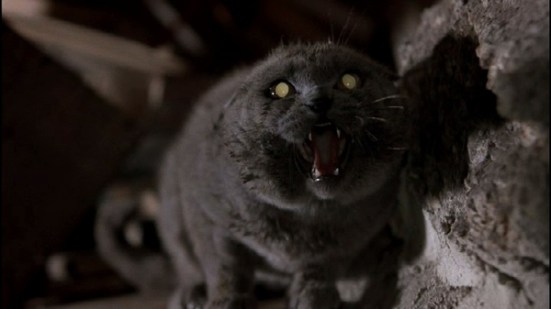 petsematary