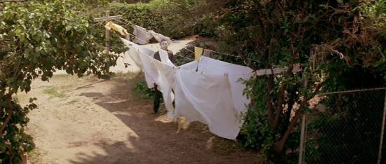 10544364_500816503385079_2334397780416027608_n