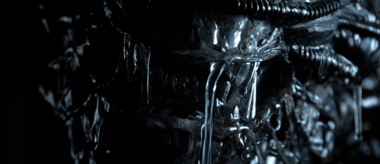 vlcsnap-2011-01-22-20h39m19s117