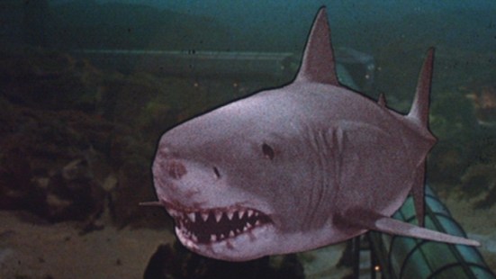 jaws-3-1