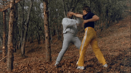 vlcsnap-2013-02-08-19h17m35s161