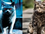 The King Zone Podcast – Episode 2: “Sometimes Dead Is Better” Looking At Pet Sematary’s Two&nbsp;Films